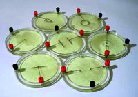 Демонстрационный комплект «Силовые линии электрического поля разных систем зарядов» - fgospostavki.ru - Радужный