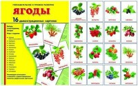 Демонстрационные карточки "Ягоды" - fgospostavki.ru - Радужный