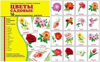 Демонстрационные карточки "Цветы садовые" - fgospostavki.ru - Радужный