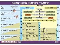 Таблица демонстрационная "Сравнение понятий изомер и гомолог" (винил 70x100) - fgospostavki.ru - Радужный