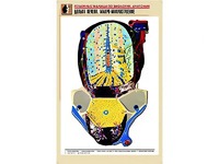 Рельефная таблица "Долька печени. Макро-микростроение" (формат А1, матовое ламинирование) - fgospostavki.ru - Радужный