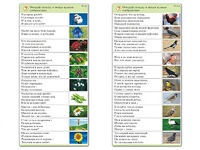 Комплект карточек (10) "Обучающий калейдоскоп. Природа" - fgospostavki.ru - Радужный