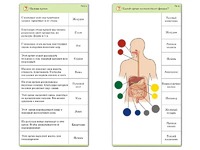 Комплект карточек (10) "Обучающий калейдоскоп. Человек" - fgospostavki.ru - Радужный