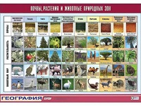 Таблица демонстрационная "Почвы, растения и животные природных зон" (винил 100*140) - fgospostavki.ru - Радужный