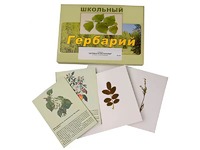 Гербарий "Деревья и кустарники" (22 вида, с иллюстрациями) - fgospostavki.ru - Радужный