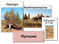 Модель-аппликация "Природные зоны России" (ламинированная) - fgospostavki.ru - Радужный
