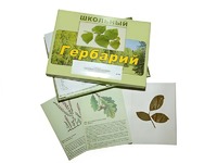 Гербарий "Дикорастущие растения" (30 видов, с иллюстрациями) - fgospostavki.ru - Радужный