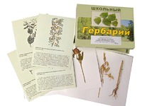 Гербарий "Систематика растений. Семейство Бобовые. Злаки" (раздаточный) - fgospostavki.ru - Радужный