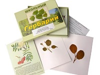 Гербарий "Систематика растений. Семейство Розоцветные" (раздаточный) - fgospostavki.ru - Радужный