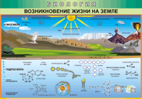 Таблица "Возникновение жизни на земле" (100х140 сантиметров, винил) - fgospostavki.ru - Радужный