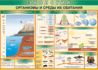 Таблица "Организмы и среды их обитания" (100х140 сантиметров, винил) - fgospostavki.ru - Радужный