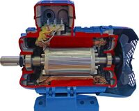 Учебная модель «Электродвигатель асинхронный в разрезе» - fgospostavki.ru - Радужный