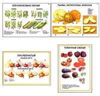 Плакаты ПРОФТЕХ "Ассортимент овощных культур" (12 пл, винил, 70х100) - fgospostavki.ru - Радужный