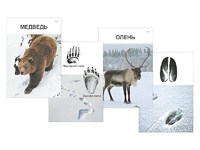 Комплект дидактических карточек "Следы на снегу" - fgospostavki.ru - Радужный