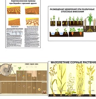 Плакаты ПРОФТЕХ "Агрономия" (5 пл, винил, 70х100) - fgospostavki.ru - Радужный