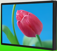 Киоск информационный настенный сенсорный 27" (вариант 1) - fgospostavki.ru - Радужный