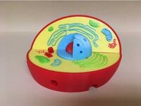 Модель растительной клетки - fgospostavki.ru - Радужный