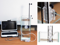 Набор демонстрационный «Гидростатика и плавание тел» - fgospostavki.ru - Радужный