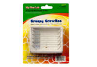 Набор микропрепаратов для микроскопа №2 «Насекомые» - fgospostavki.ru - Радужный