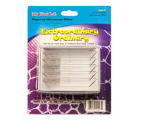 Набор микропрепаратов для микроскопа №3 «Необычное в обычном» - fgospostavki.ru - Радужный