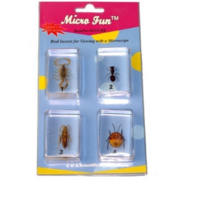 Набор микропрепаратов для стереомикроскопа №14 «Насекомые» - fgospostavki.ru - Радужный