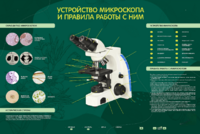 Электрифицированный стенд "Устройство микроскопа и правила работы c ним" - fgospostavki.ru - Радужный