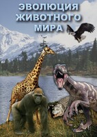 DVD "Эволюция животного мира" - fgospostavki.ru - Радужный