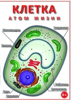 DVD "Клетка - "атом жизни" - fgospostavki.ru - Радужный