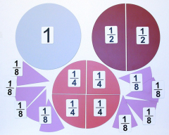 Набор магнитных карточек "Доли и дроби - 1" - fgospostavki.ru - Радужный