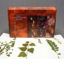 Гербарий для Начальной школы (28 видов) - fgospostavki.ru - Радужный