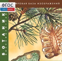 Ботаника. Микрофотографии. (Цифровая база изображений) - fgospostavki.ru - Радужный