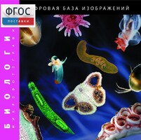 Биология. Микрофотографии. (Цифровая база изображений) - fgospostavki.ru - Радужный