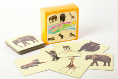 Набор магнитных карточек "Устный счет" (фон желтый) - fgospostavki.ru - Радужный