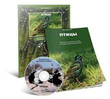 Электронное наглядное пособие «Птицы» - fgospostavki.ru - Радужный
