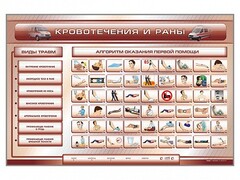 Трехсекционный базовый комплект "Травмы. Кровотечения. Ожоги" для учащихся общеобразовательных учреждений - fgospostavki.ru - Радужный