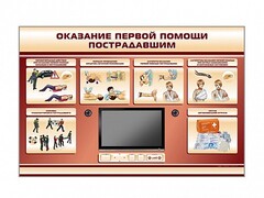 Многофункциональный интерактивный стенд-тренажер "Оказание первой помощи пострадавшим" для учащихся общеобразовательных учреждений - fgospostavki.ru - Радужный