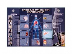 Электрифицированный стенд "Вредные привычки: наркомания" - fgospostavki.ru - Радужный