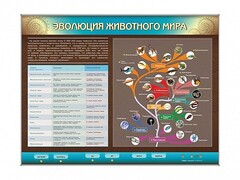 Интерактивный электрифицированный стенд "Эволюция животного мира" - fgospostavki.ru - Радужный