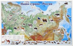 Магнитные карточки "Животные" - fgospostavki.ru - Радужный