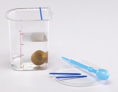 Сосуд Архимеда - fgospostavki.ru - Радужный