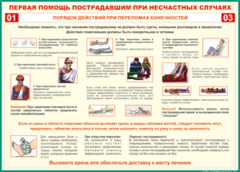 Таблица "Порядок действий при переломах конечностей" (100х140 сантиметров, винил) - fgospostavki.ru - Радужный