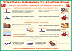 Таблица "Порядок действий при коматозном состоянии пострадавшего" (100х140 сантиметров, винил) - fgospostavki.ru - Радужный