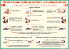 Таблица "Порядок действий при ранениях и термических ожогах" (100х140 сантиметров, винил) - fgospostavki.ru - Радужный