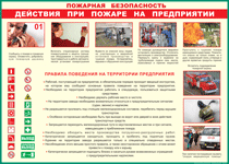 Таблица "Действия при пожаре на предприятии" (100х140 сантиметров, винил) - fgospostavki.ru - Радужный