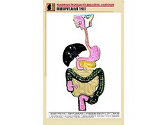 Рельефная таблица "Пищеварительный тракт" (формат А1, матовое ламинирование) - fgospostavki.ru - Радужный