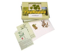 Гербарий "Для начальной школы" (30 видов, с иллюстрациями) - fgospostavki.ru - Радужный