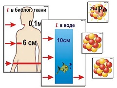 Модель-аппликация "Явление радиоактивности" (ламинированная) - fgospostavki.ru - Радужный