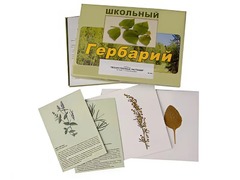 Гербарий "Лекарственные растения" (22 вида с иллюстрациями) - fgospostavki.ru - Радужный