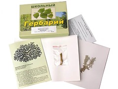 Гербарий "Водоросли. Грибы. Лишайники" (раздаточный) - fgospostavki.ru - Радужный