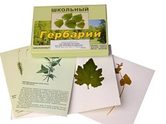 Гербарий "Систематика растений. Высшие споровые и семенные" (раздаточный) - fgospostavki.ru - Радужный